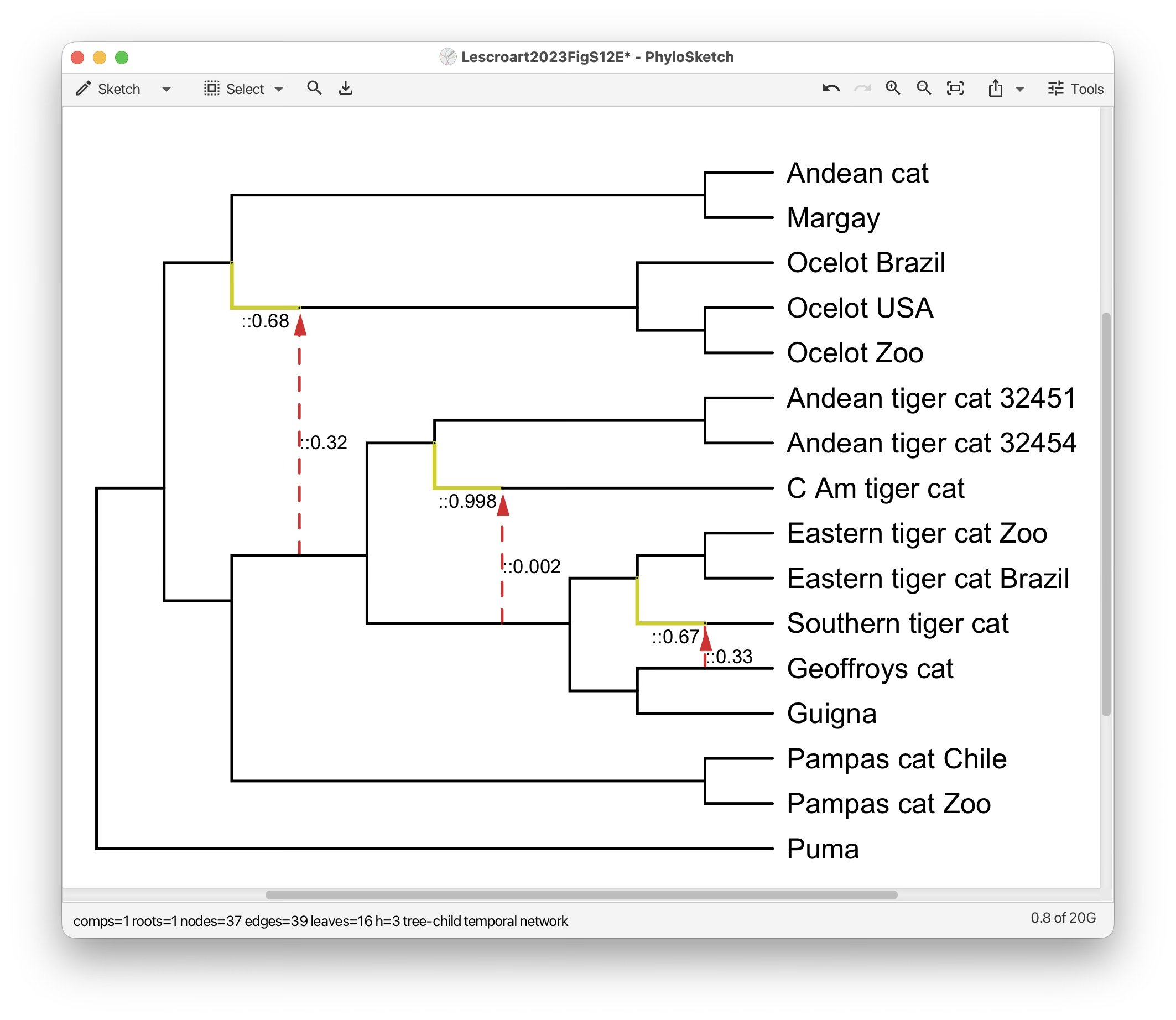 PhyloSketch screenshot